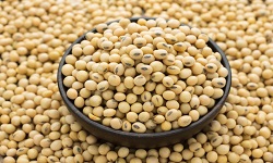 Soyabeanse